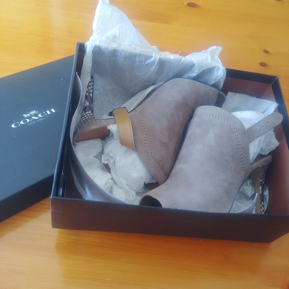 Coach Kearney Snake Wrap heel in Fog